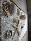 Seashell Artwork