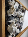 Seashell Artwork