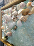 Medium Sea Green Handmade Seashell Artwork